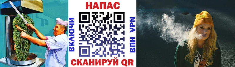 Купить закладки  Светлогорск  Cannafood конопля 