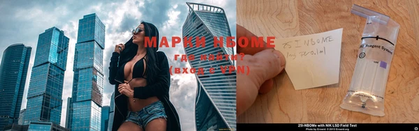 кокс Ельня