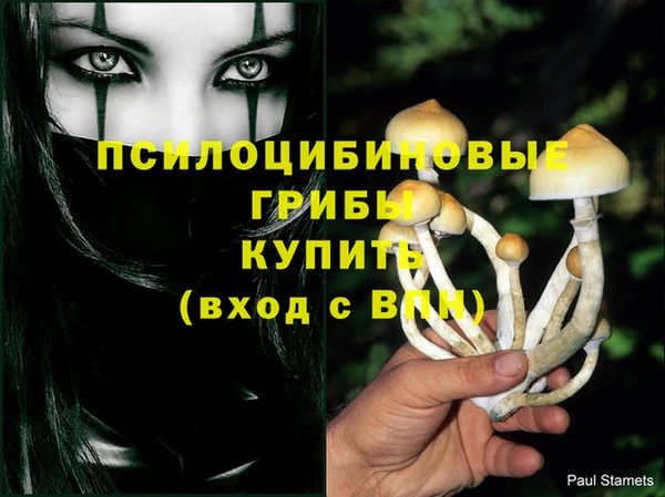 кокс Ельня