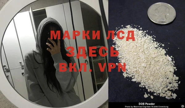 ГАЛЛЮЦИНОГЕННЫЕ ГРИБЫ Елизово