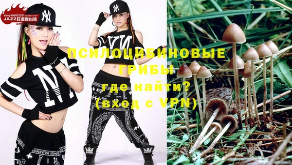 ГАЛЛЮЦИНОГЕННЫЕ ГРИБЫ Елизово