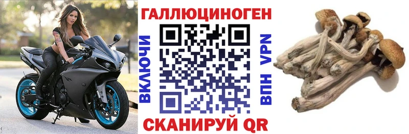 Псилоцибиновые грибы MAGIC MUSHROOMS  Купить  Светлогорск 